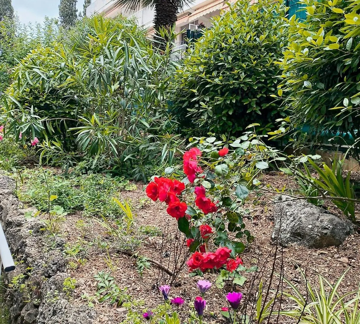 Home2Sea - Piscine, Jardin, Studio Cabine, 5 Couchages Vallauris